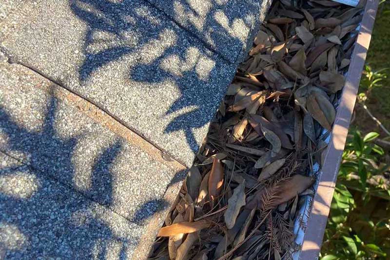 Dependable Gutter Services in Rayne